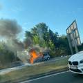 Zapalio se auto na Jankomiru, vozač uspio na vrijeme izaći