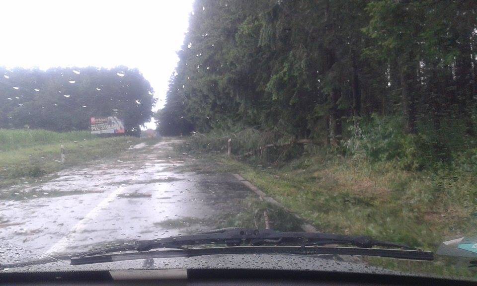Kataklizma u Požegi: Vjetar je čupao stabla, kiša sve poplavila