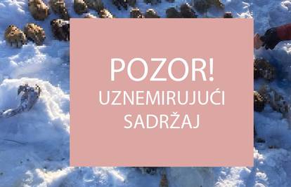 Strava: Ruski ribari kod rijeke našli vreću s - 52 ljudske šake!