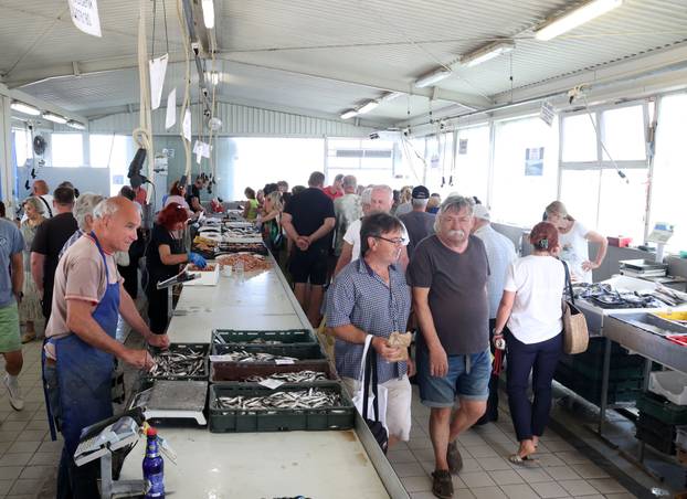 Šibenik:Bogata ponuda ribe na sibenskoj ribarnici.