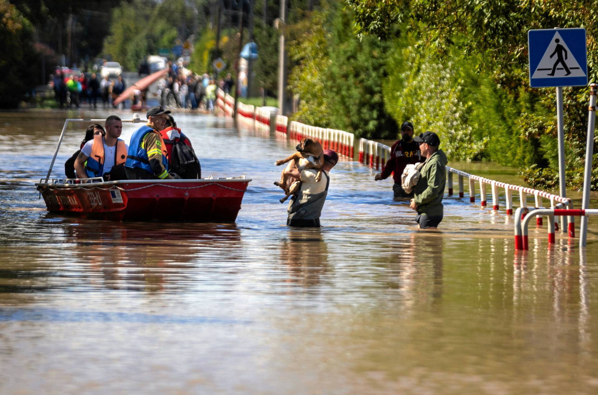 Firefighter transports people and pets amid flooding in Czechowice-Dziedzice, Silesia