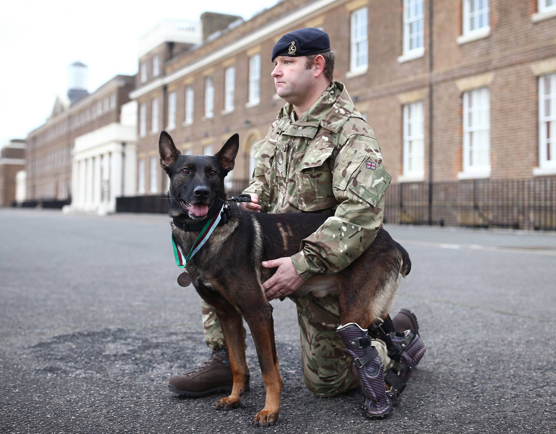 PDSA Dickin Medal for valour