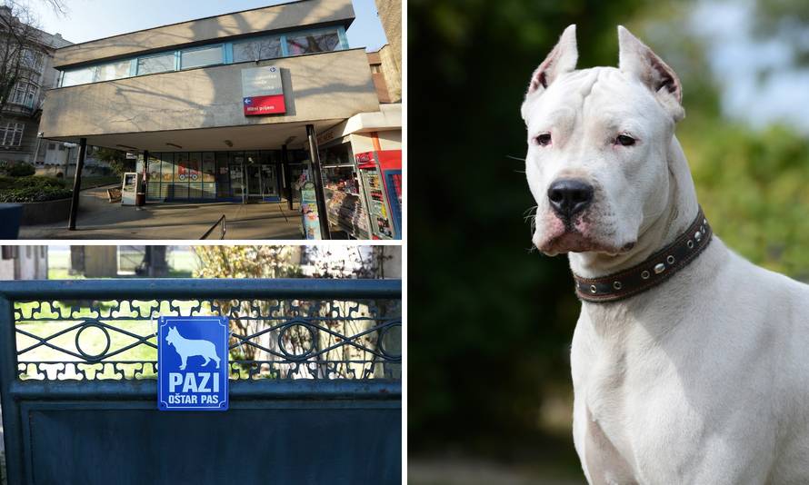 'Beba je danas stabilno, iako je još uvijek u životnoj opasnosti'