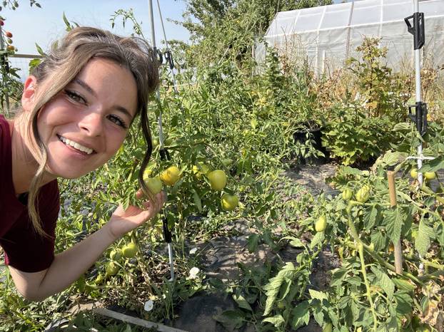 'I'm a homesteader with my own stockpile – THIS is  how to prepare for Nostradamus' chilling 2026 predictions and what I would pack in my World War III bug out bag'