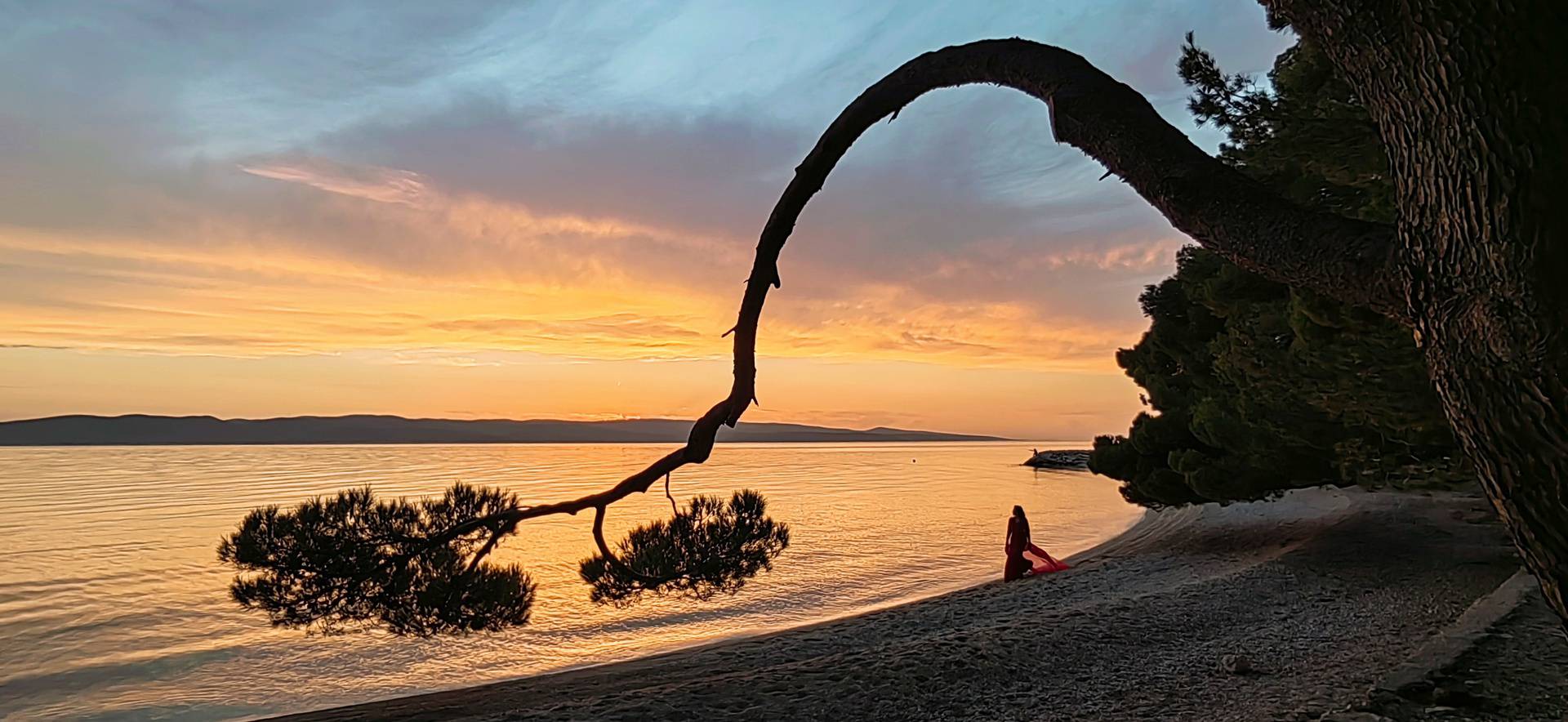 Goran Jović savjetuje: 5 najboljih foto aplikacija za savršene fotografije