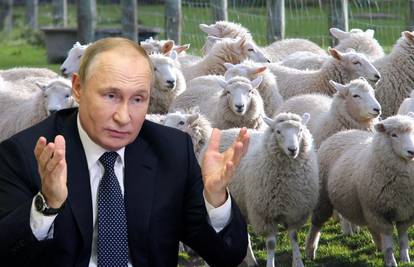 Obiteljima mobiliziranih Rusija dijeli ovce?! 'Moraju znati da nisu sami, da je država uz njih'