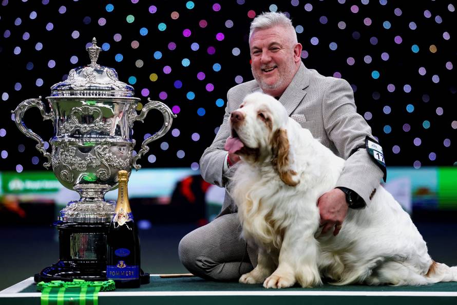 Crufts dog show in Birmingham