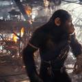 Nastavak hit  filma 'Planeta majmuna' bavi se budućnošću: 'Ovo je svakako veliki pothvat'