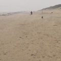 VIDEO Snimio oluju Henk kako udara u britansku plažu: 'Vjetar mi je skoro iščupao mobitel'