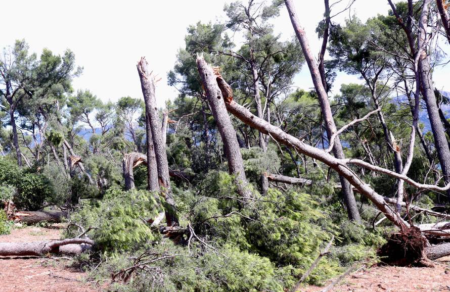 Posljedice velikog nevremena u Splitu, Marjan oštećen i zatvoren za građane