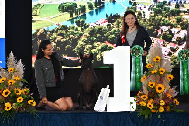 FOTO Neodoljive su njuškice ovih dana blistale u Karlovcu