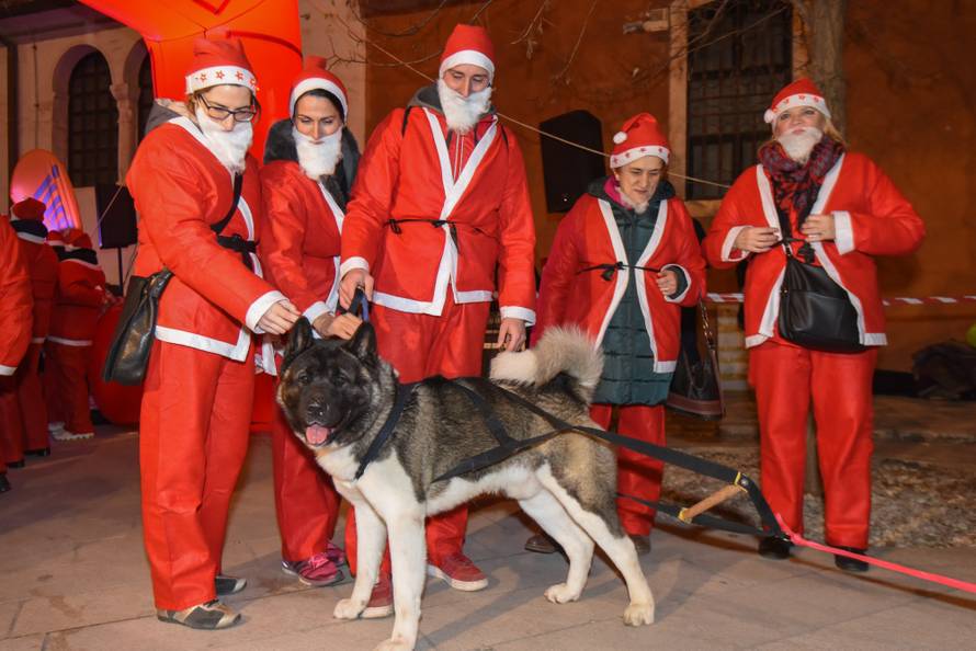 Advent u Zadru: Veseli Djedovi Božićnjaci protrčali su gradom