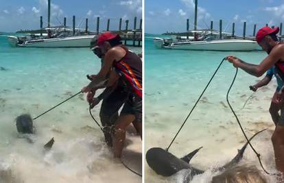 Bizarna snimka: Nick Kyrgios je 'prošetao' morskog psa na uzici