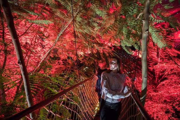 "Magic Tropical Lights" at Gondwanaland Leipzig