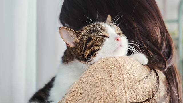 Zdrava prehrana za mačke: Saznajte kako pružiti pravilnu nutritivnu potporu