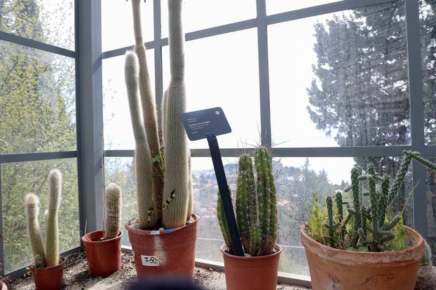 Split: Na Marjanu otvoren Botanički vrt