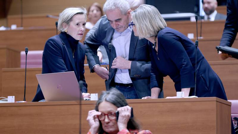 Možemo: Tražimo hitno osnivanje saborskog istražnog povjerenstva za femicid