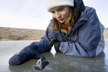 Za razvoj života na Zemlji ipak je zaslužan pad meteorita?  