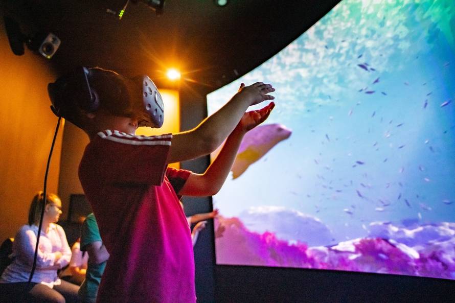 Obiteljski odmor na Papuku: mjesto gdje se djeca igraju, a odrasli dišu punim plućima