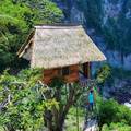 Indonezija: Bajkovitu kuću na drvetu iznajmljuju za 270 kuna