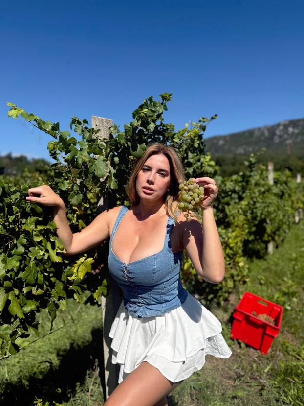 FOTO ANKETA Koga biste zvali na berbu? Nives ili Milanovića?