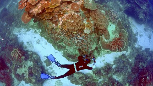 FILE PHOTO --  Oliver Lanyon takes photographs and notes during an inspection of the reef's condition in an area called the 'Coral Gardens' located at Lady Elliot Island