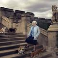 Kraljica je shrvana zbog smrti psa: Korgi Willow umro od raka