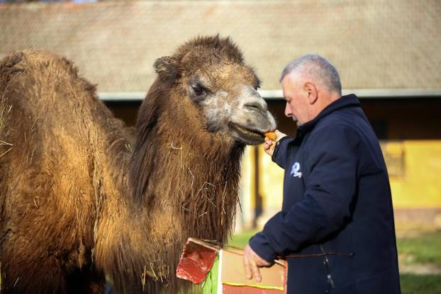 Tradicionalno darivanje životinja u zagrebačkom zoološkom vrtu na Štefanje