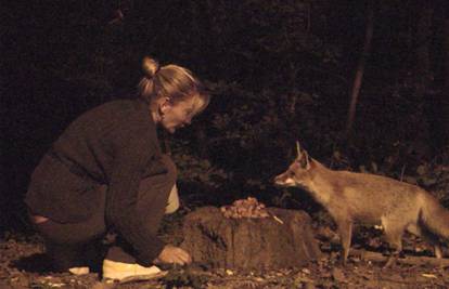 'Godina lisice': Izašle iz šume, leže pred kućama, jedu iz ruke