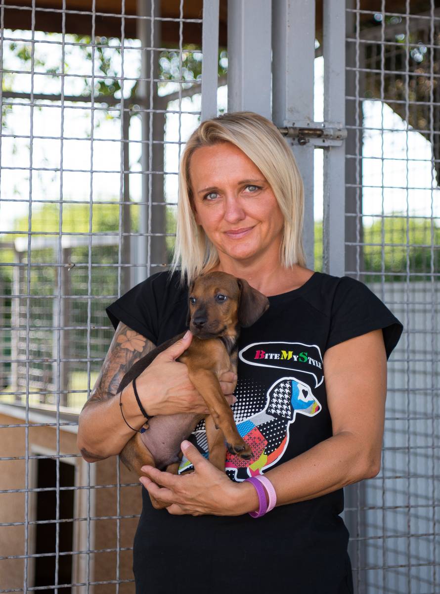 U azilu u Dumovcu obilježen Međunarodni dan nezbrinutih životinja