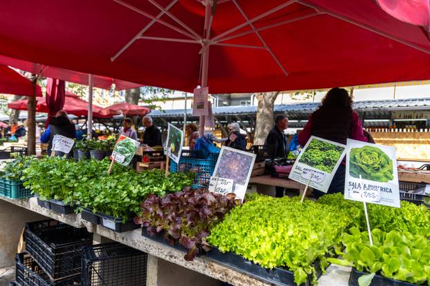 Pula: Sadnice na pulskoj tržnici