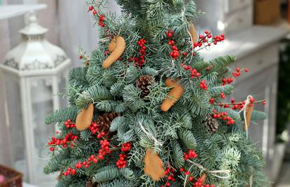 Nešto novo: Od grana izradite sami božićno drvce u teglici