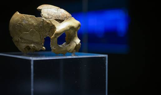 FOTO Pogledajte najpoznatiji fosil krapinskog neandertalca, Lubanju C staru 130.000 godina