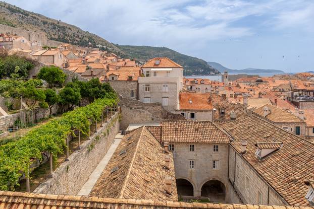 Dubrovnik: Vrtovi franjevačkog samostana