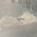 NEVRIJEME U RIJECI  'Tako jako pada da i &scaron;ahtovi lebde u zraku'