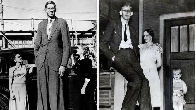 Što mislite, koliko je bio visok najveći čovjek ikad? Bio je div