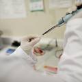Panika u susjedstvu: Mađari ne isključuju 'biološki napad' kao mogući izvor pojave slinavke