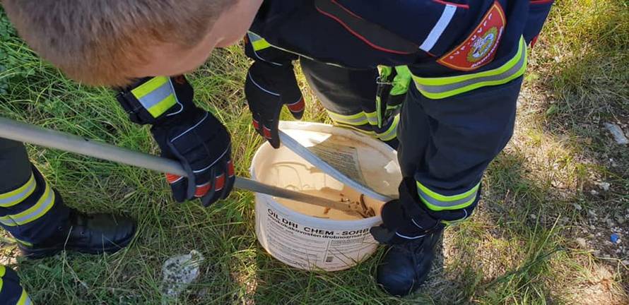 Zmije u Rovinju: Ujutro bjelica u stanu, kasnije poskok u kampu!
