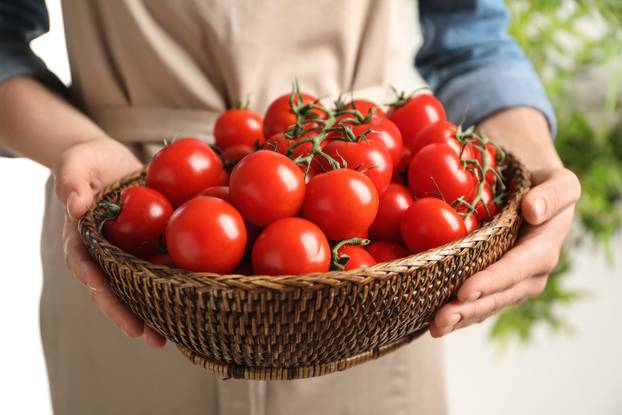 Woman,Holding,Wicker,Bowl,With,Ripe,Cherry,Tomatoes,,Closeup