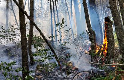 Kiša pomogla u gašenju požara na planini Čvrsnici, ali još nije potpuno ugašen