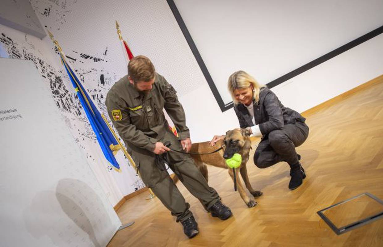 U austrijskim zračnim lukama psi kontroliraju tko ima koronu
