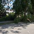 FOTO Odlomila se ogromna grana ispred &scaron;kole u Zagrebu