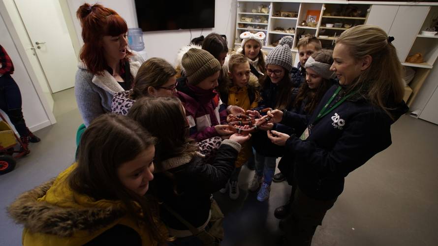 Božićno iznenađenje: Učenici iz Slavonije prvi put u Zoološkom