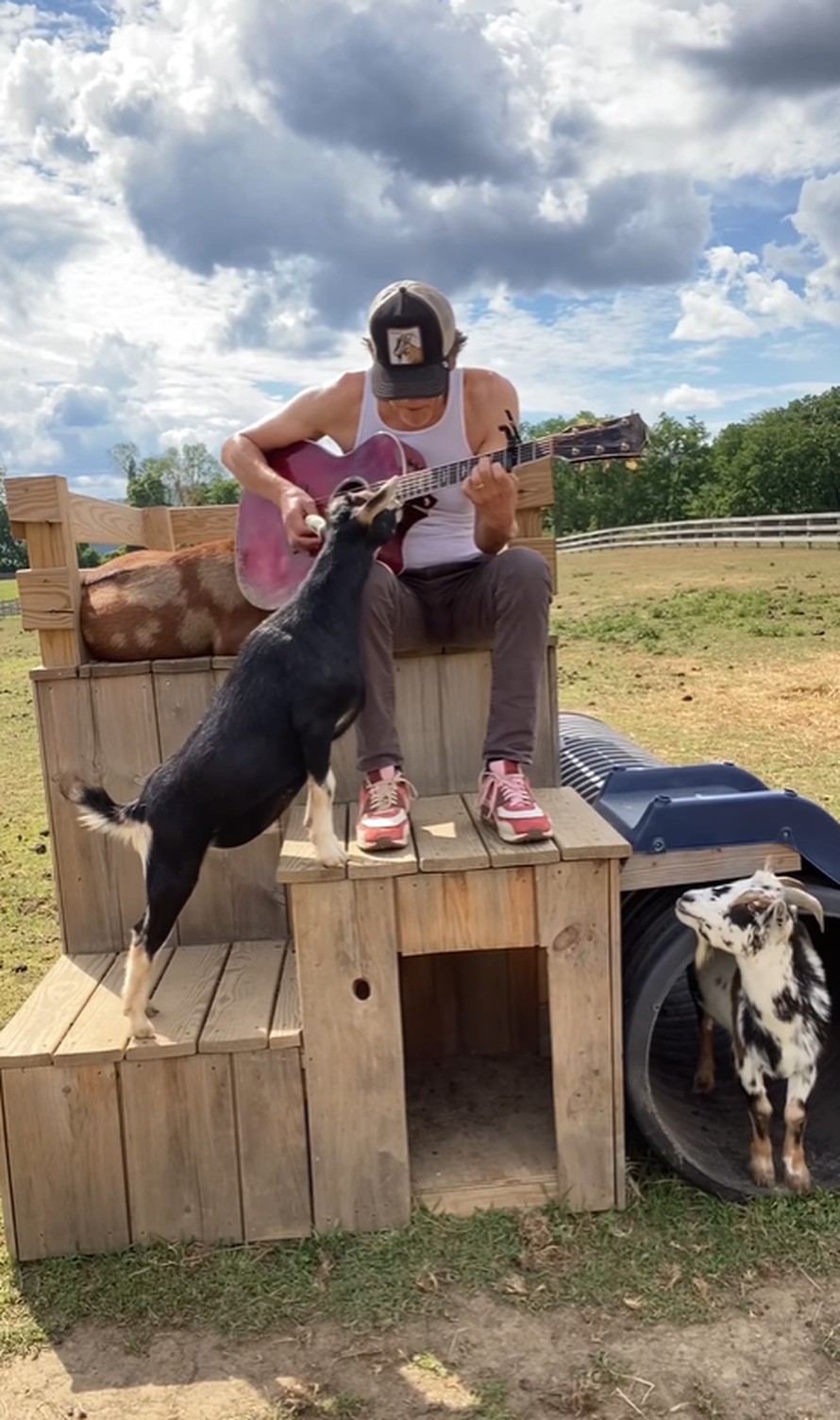 Kevin Bacon na gitari zapjevao novi Beyoncein hit zanimljivoj publici: 'Koze vole ovu pjesmu'