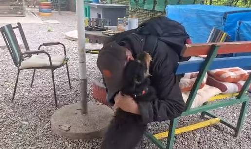 Video koji mami suze: Čovjek iz Osijeka je nakon pet mjeseci ponovno zagrlio svog psa