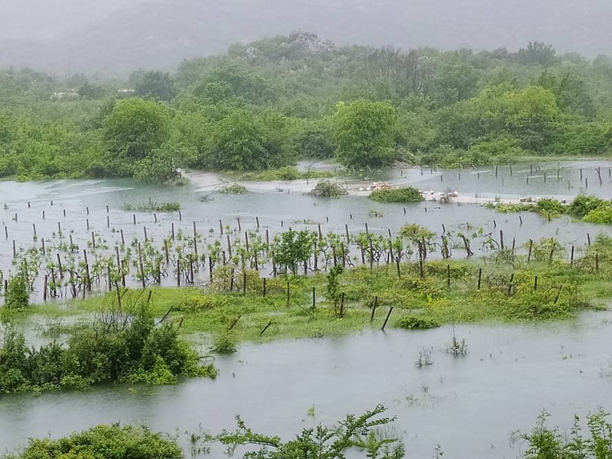 Poplave su poharale vrgorački kraj, nasadi su pod vodom. 'To je tako kada se priroda poigra'