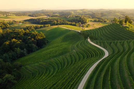 Zeleno Međimurje: Život od Drave i Mure, od legendi do popevki, od prirode do stola