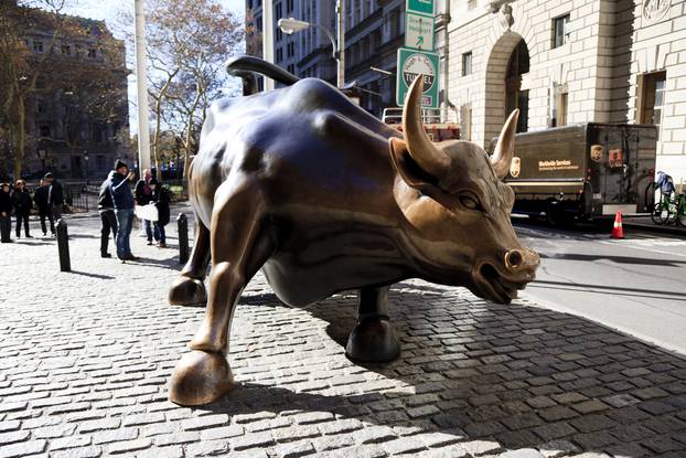 Charging Bull