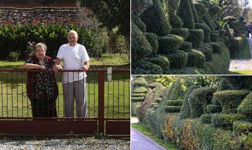 Živica obitelji Frković iz Dugog sela pravo je umjetničko djelo