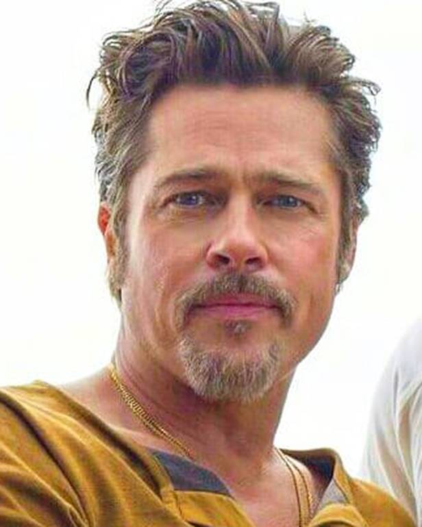 Holivudski zavodnik: Brad Pitt ljubi glumicu Charlize Theron?